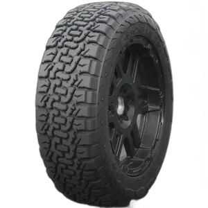 Accelera Omikron C/T