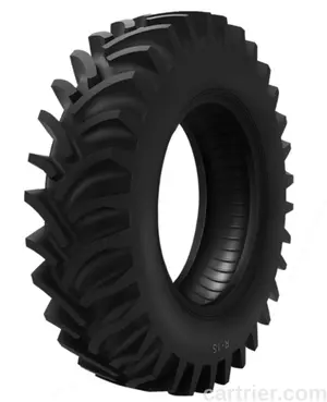Advance Farm Rear Tires R-1S