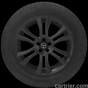 American Radials Platinum