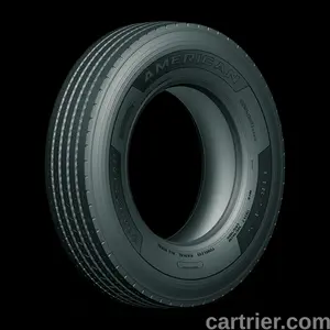 American Roadstar ARS4000