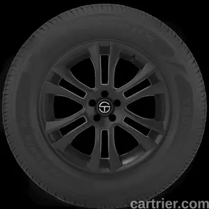 Americus Touring Plus