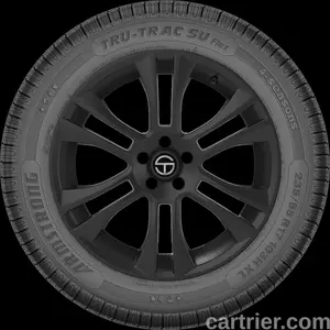 Armstrong Tru-Trac SU Flex