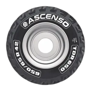 Ascenso TDR650