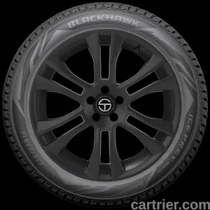 Blackhawk Ice Prey BW10