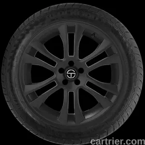 Blacklion BU66 Champoint