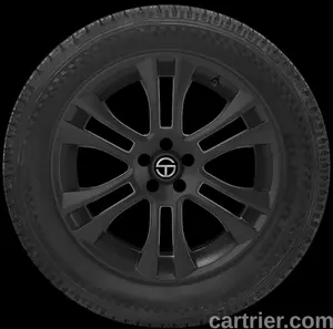 Blacklion Voracio H/T