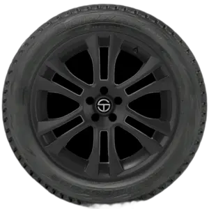 Bridgestone Blizzak DM-V1
