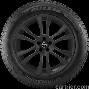 Bridgestone Blizzak DM-V2