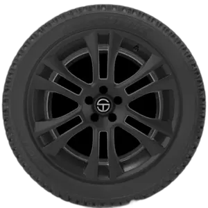 Bridgestone Blizzak WS-50