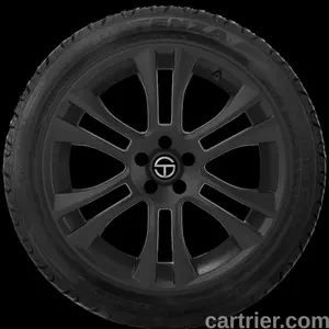 Bridgestone Potenza G019 Grid