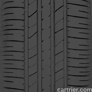 Bridgestone Turanza ER30