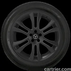 Bridgestone Turanza ER300