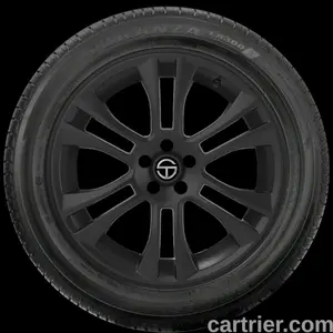 Bridgestone Turanza ER300A RFT