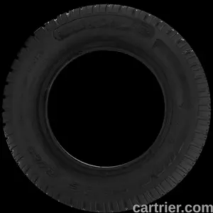 Carlstar Turf Trac R/S
