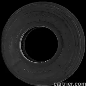 Carlstar Wheelbarrow