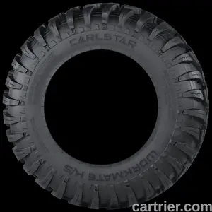 Carlstar Work Mate HS