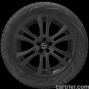 Cooper Weather-Master WSC