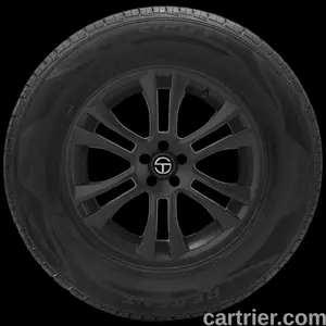 Cordovan Tour Plus LSV