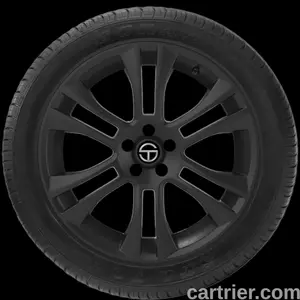 Cordovan Velozza ZXV4