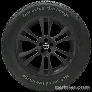 Cordovan Wild Spirit Radial RVT