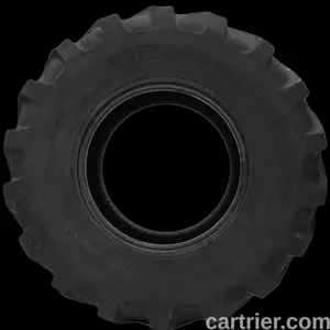 Dawg Pound Dirty Dawg