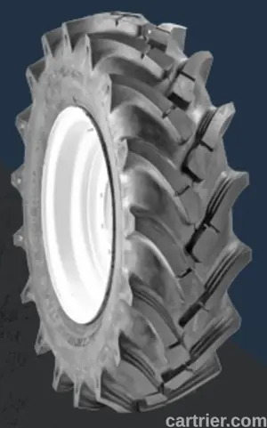 Dawg Pound Dumper Dawg