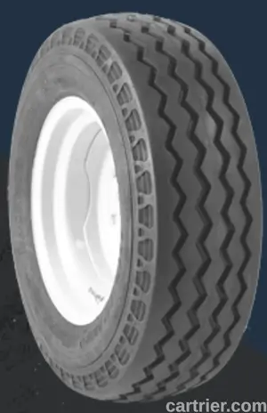 Dawg Pound Lead Dawg