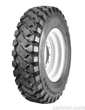 Dawg Pound Rock Dawg