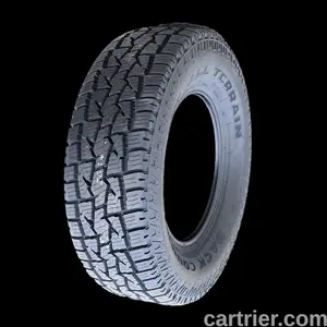 Dean Back Country SQ-4