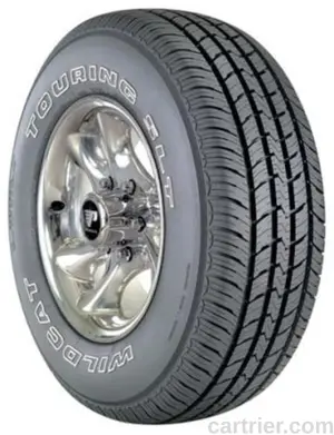 Dean Wildcat Touring SLT