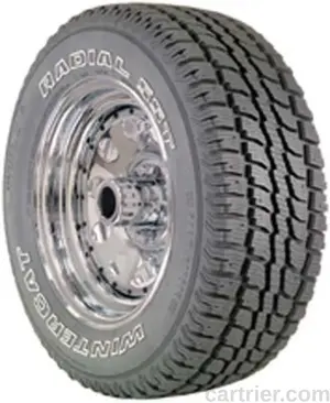 Dean Wintercat Radial SST