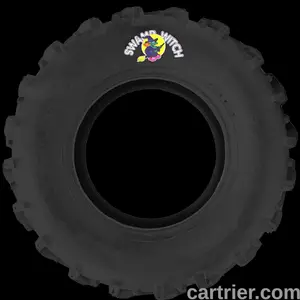 Deestone Swamp Witch D932