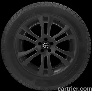 Delta Sentinel H/T 701