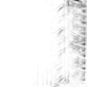 Dunlop Grandtrek PT2A