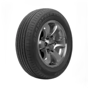 Dunlop Grandtrek PT30