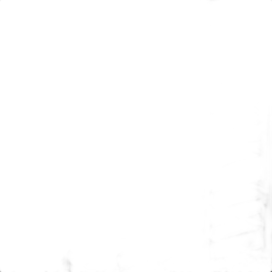 Dunlop SP Sport 5000 DSST