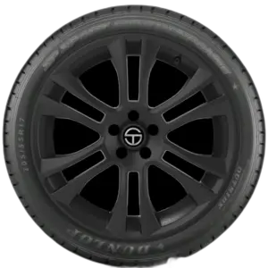 Dunlop Sp Sport Fast Response