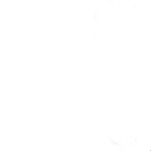 Dunlop SP Sport Maxx A1