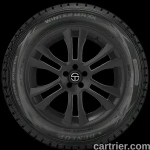 Dunlop Winter Maxx ROF