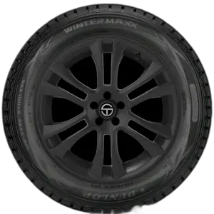 Dunlop Winter Maxx