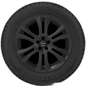 Firestone Precision Sport