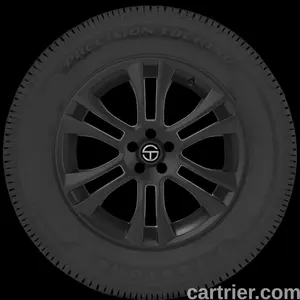 Firestone Precision Touring