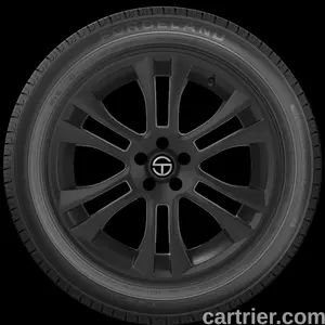 Forceland Kunimoto-F36 H/T