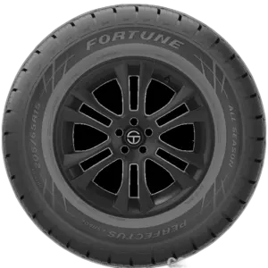 Fortune Perfectus FSR602