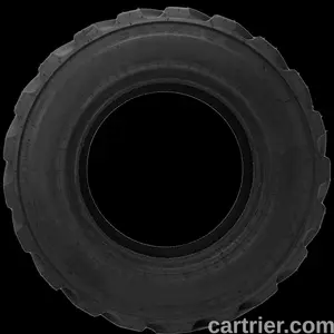 Galaxy Beefy Baby R4