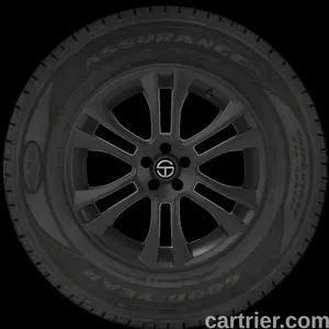 Goodyear Assurance CS TripleTred All-Season