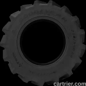 Goodyear DT806 Radial R-1W