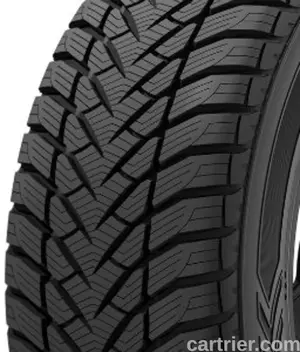 Goodyear Eagle Enforcer Winter