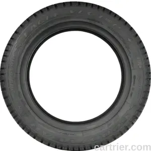 Goodyear Eagle Vector