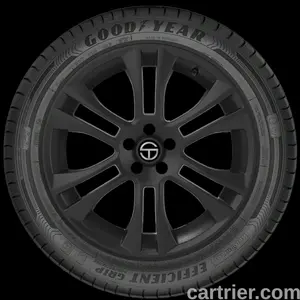 Goodyear EfficientGrip Performance